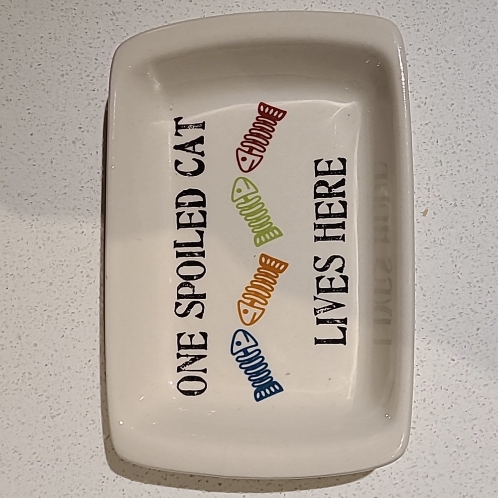 EUC Petrageous Designs cat dish